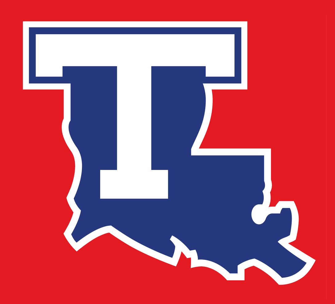 Louisiana Tech Bulldogs 2008-Pres Alternate Logo v2 DIY iron on transfer (heat transfer)